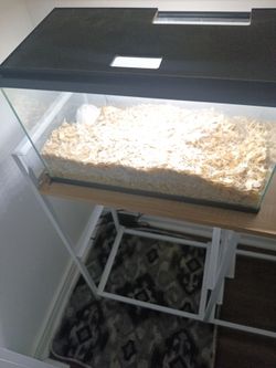Hamsters tank