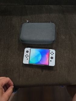 Nintendo Switch Game Case