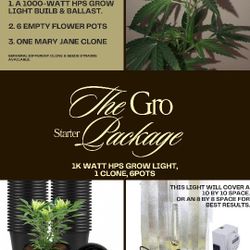 1000 Watt Hps grow Light Package