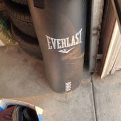 Everlast MMA Bag With Stand 