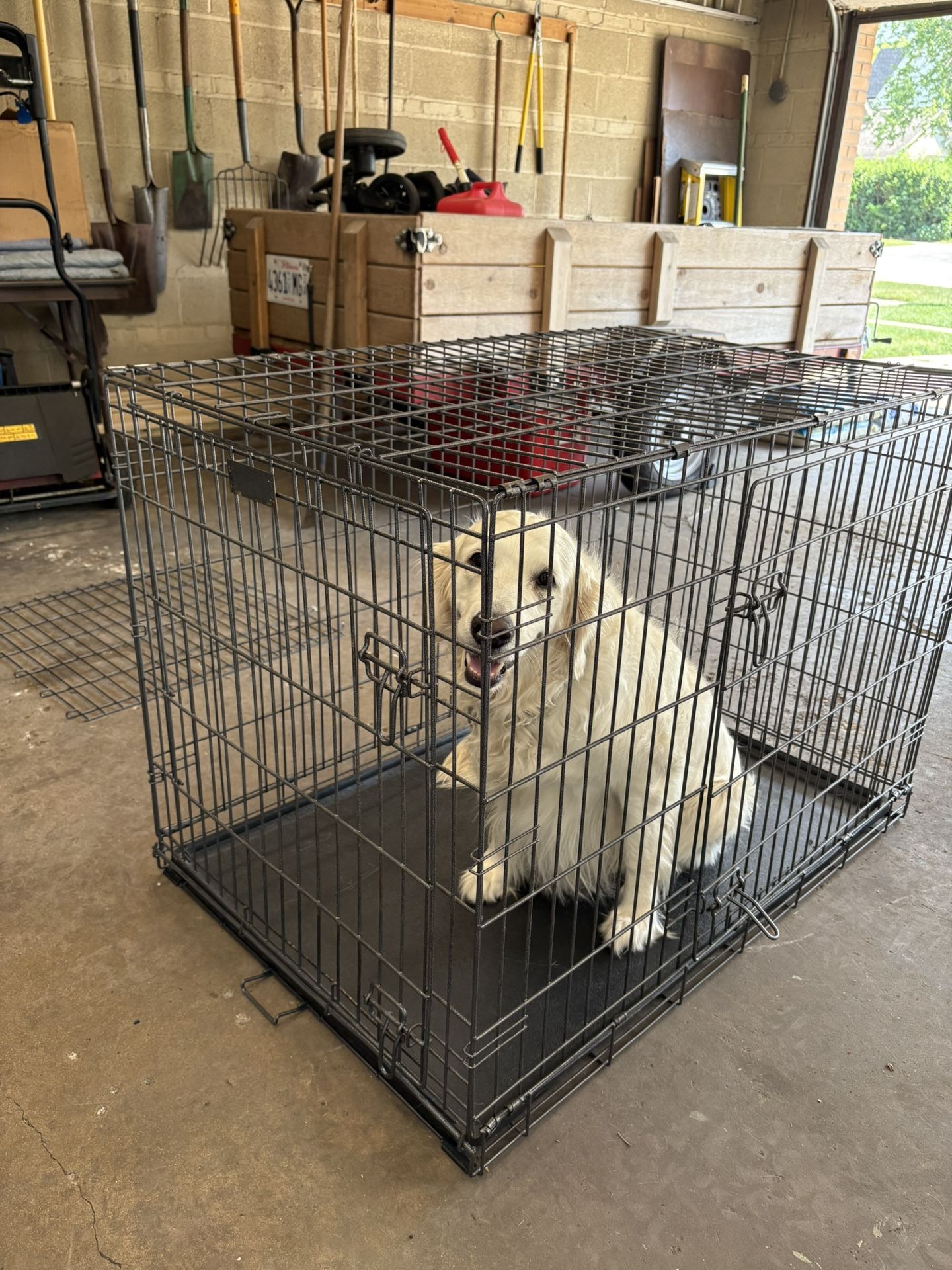 XL Wire Dog Crate