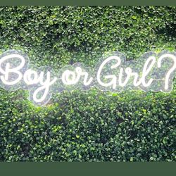 Boy Or Girl Neon Sign 