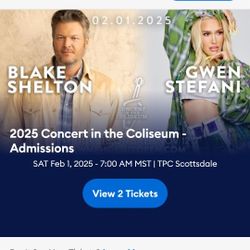 Blake Shelton & Gwen Stefani 