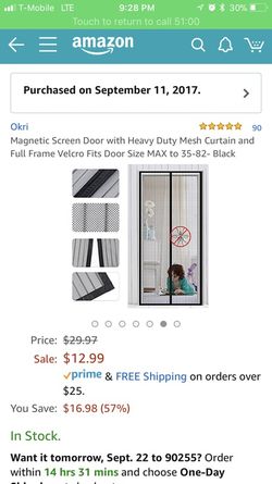 Magnetic door
