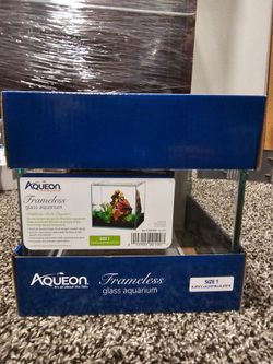 Frameless Aquarium Tanks