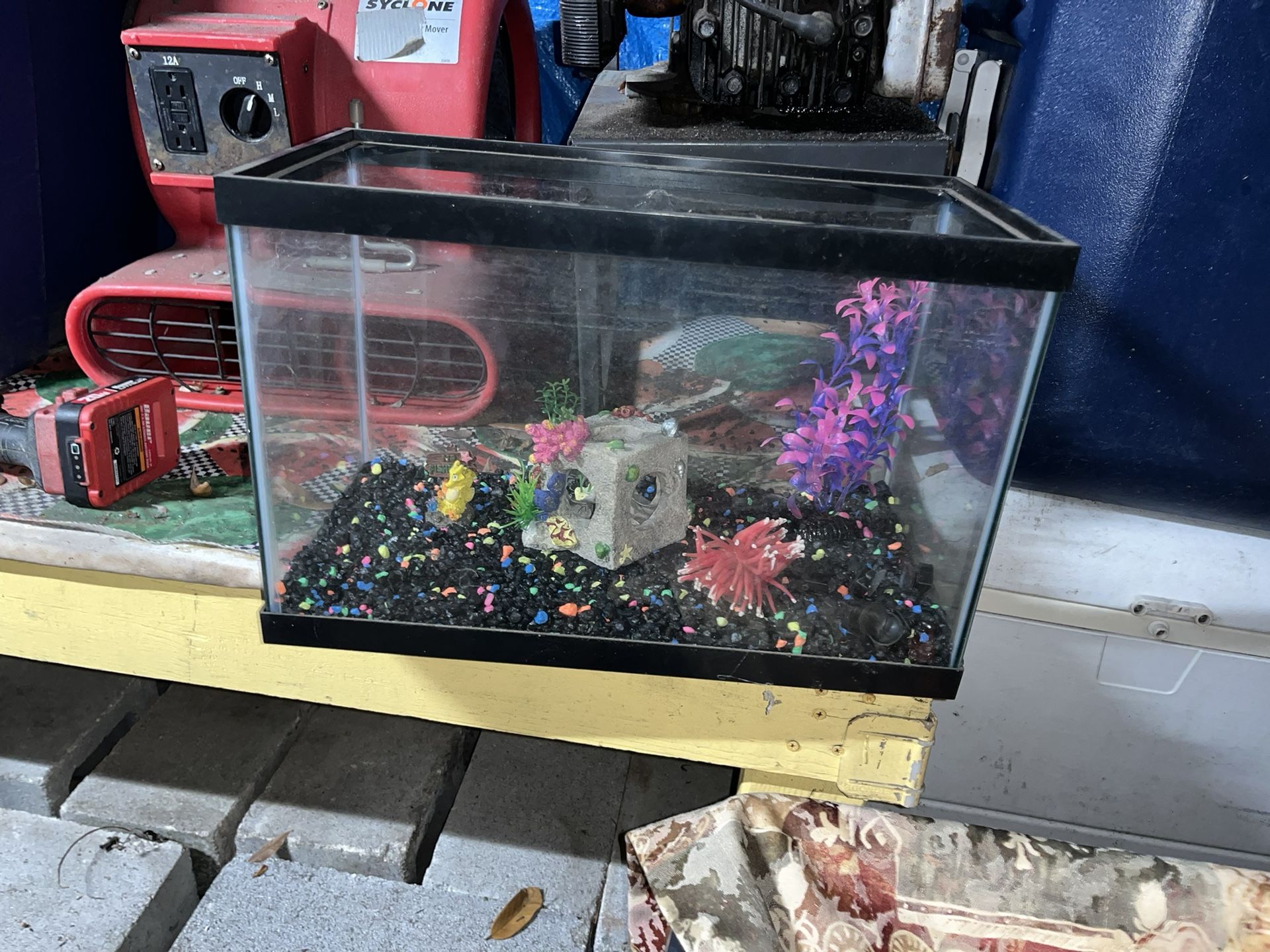 Fish tank