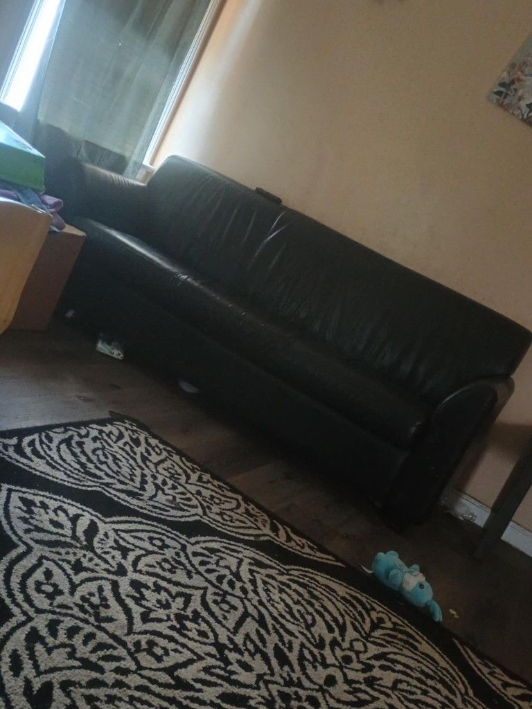 Black Leather Couches