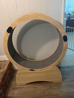 Cat Wheel