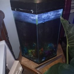 Octagon Fish Tank