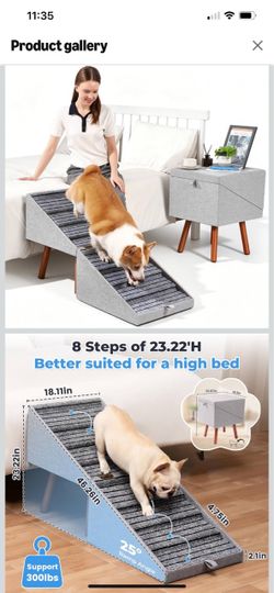 Animal climbing ladder