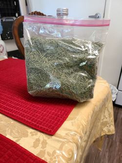 Rosemary Romero Organic