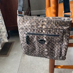 Coach Snake Print Crossbodyp