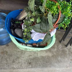 Books Bags Plants Random