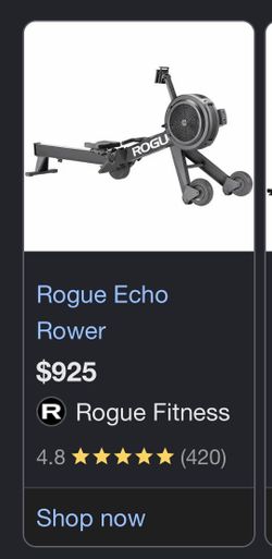 Rogue Echo Rower