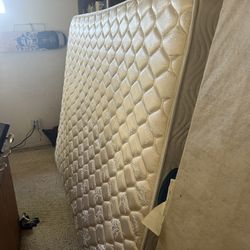 Queen Bed With Frame And Box spring 