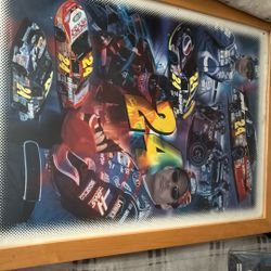 Jeff Gordon  Signature Posters 