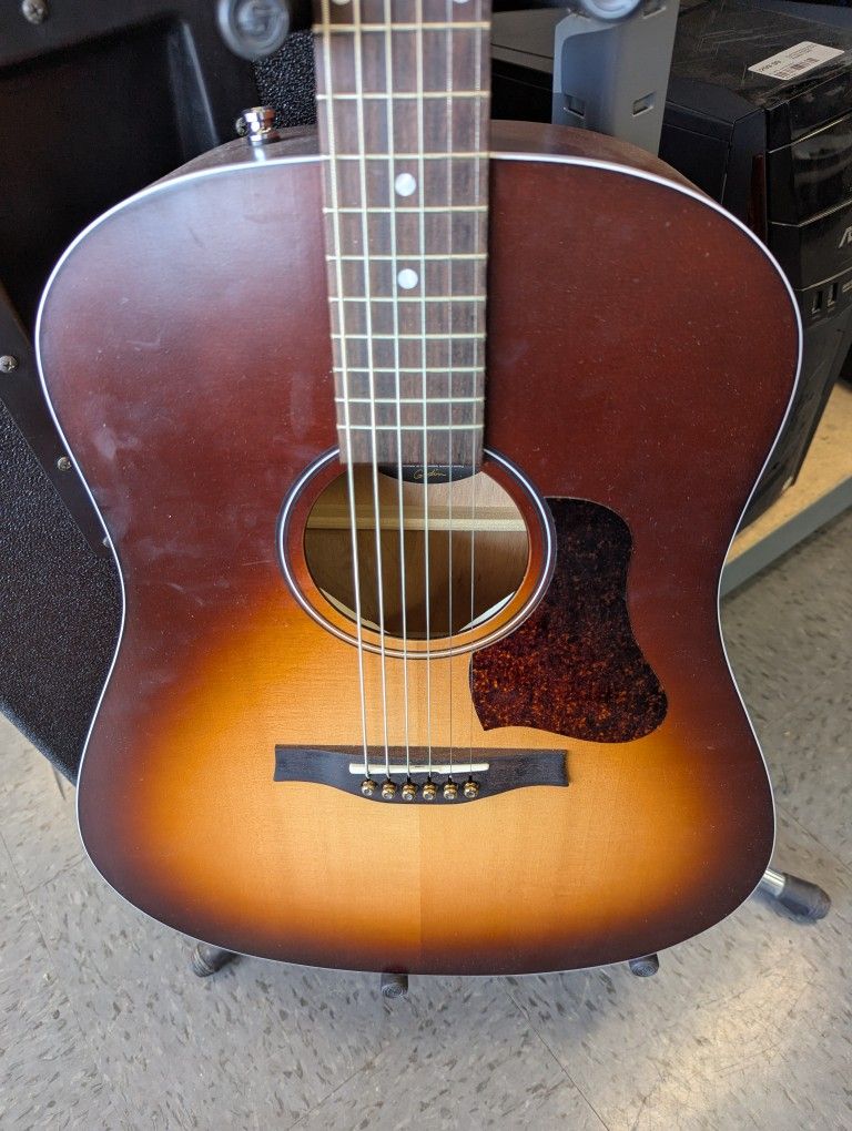 Seagull Guitar