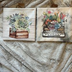 NEW Home Decor Succulents Canvas Wall Art, Expressions Artwork, 8.5”Canvas Print
