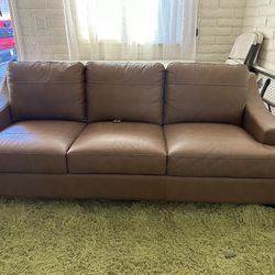 Brown Couch 