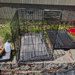 Dog Crate