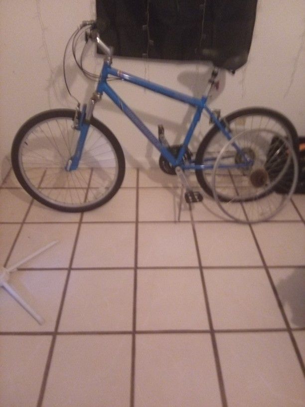 Diamond Back Wildwood Bike