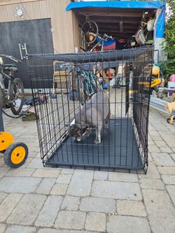 Dog cage