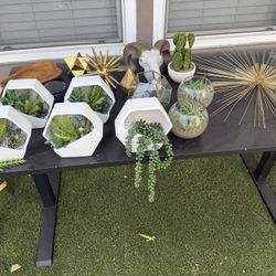 Gold / White / Plant Room Decor 