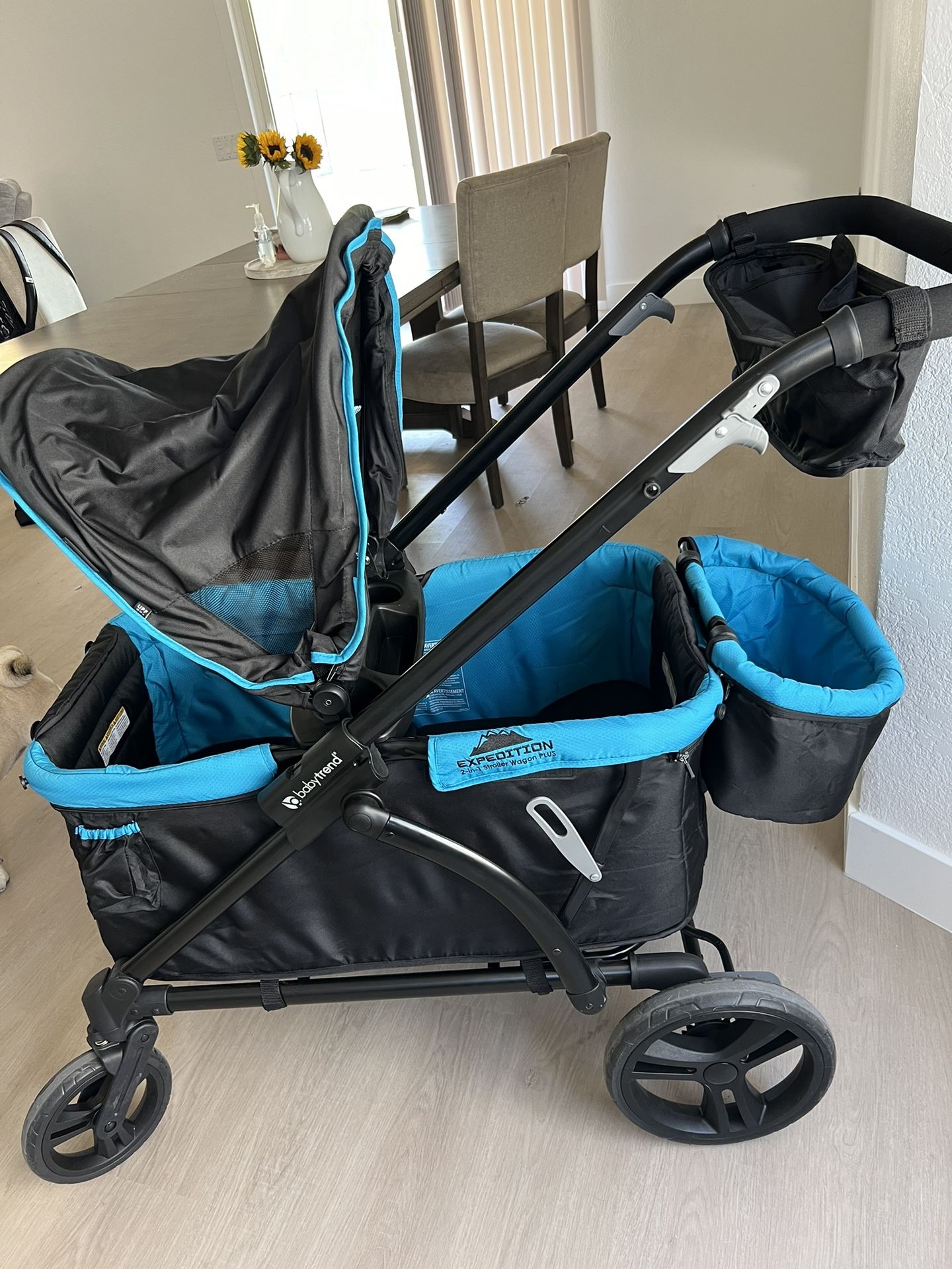 Baby Trend Wagon Stroller Plus