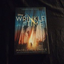 Wrinkle In Time Book