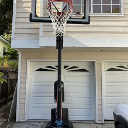 Basketball Hoop 🎉 Marked Down!