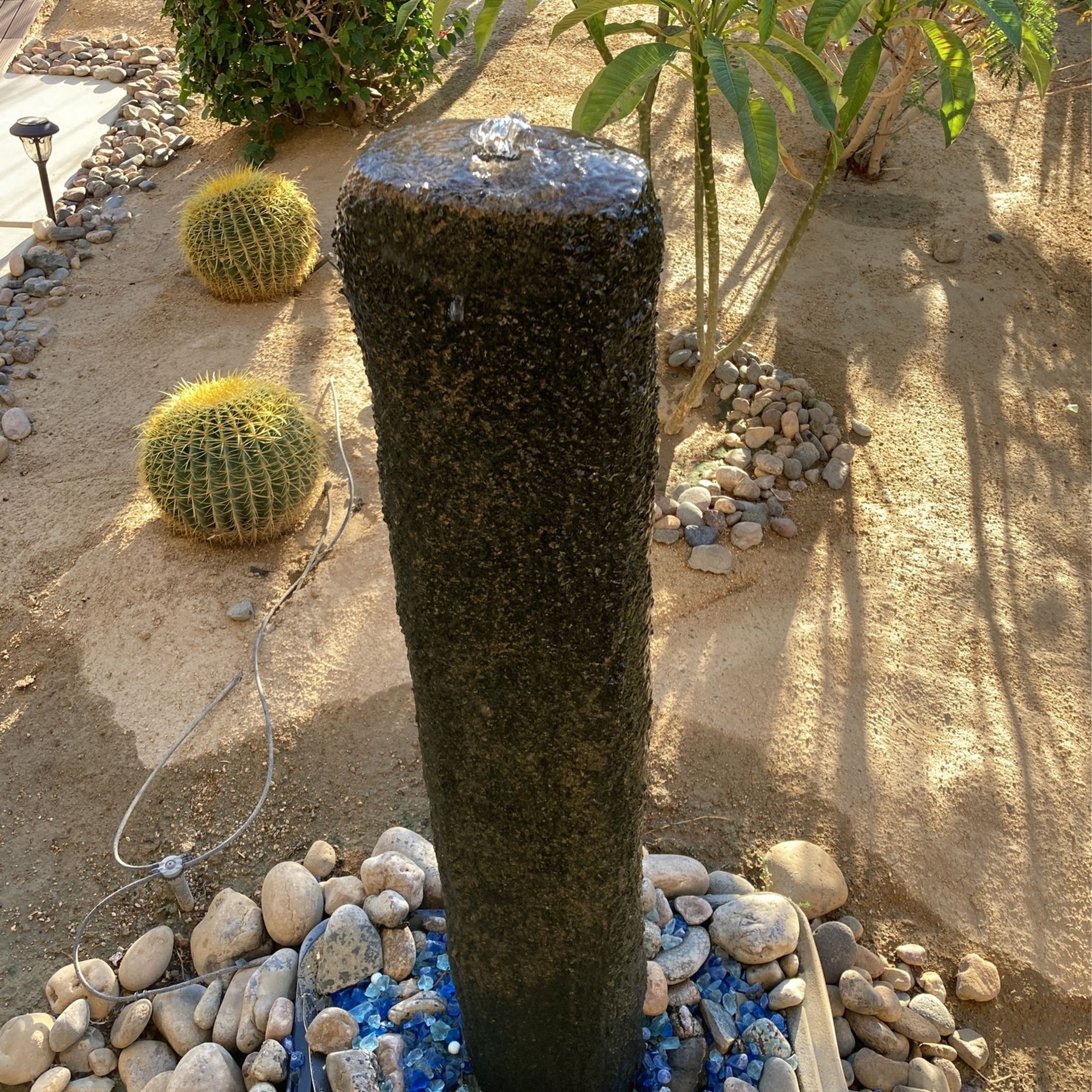 Fountains And Desert Plants For Sale 