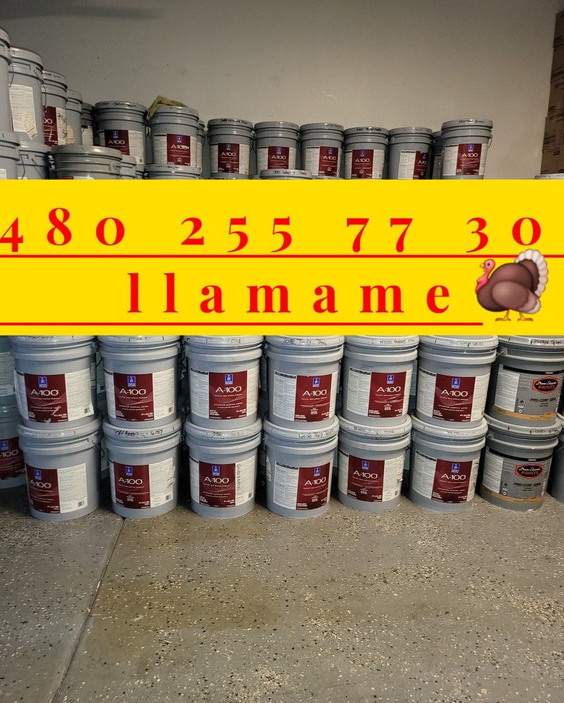 Pintura Y Primer