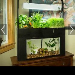 Aquaponics Aqua Sprout Hydroponics Kitchen Herb Kit
