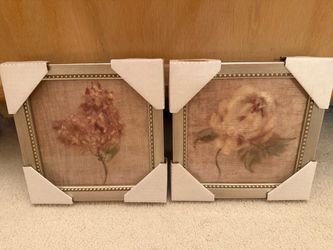 Pair of Cheri Blum “Velvets” Framed Floral Prints – Never Hung