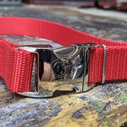 Country Brook Design - Vibrant 26 Color Selection - Premium Nylon Dog Collar with Metal Buckle

