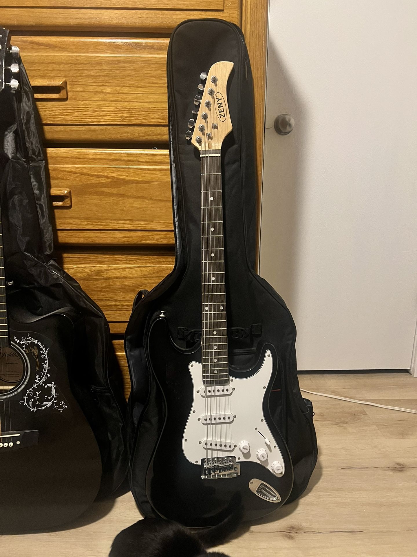Electric guitar And Case