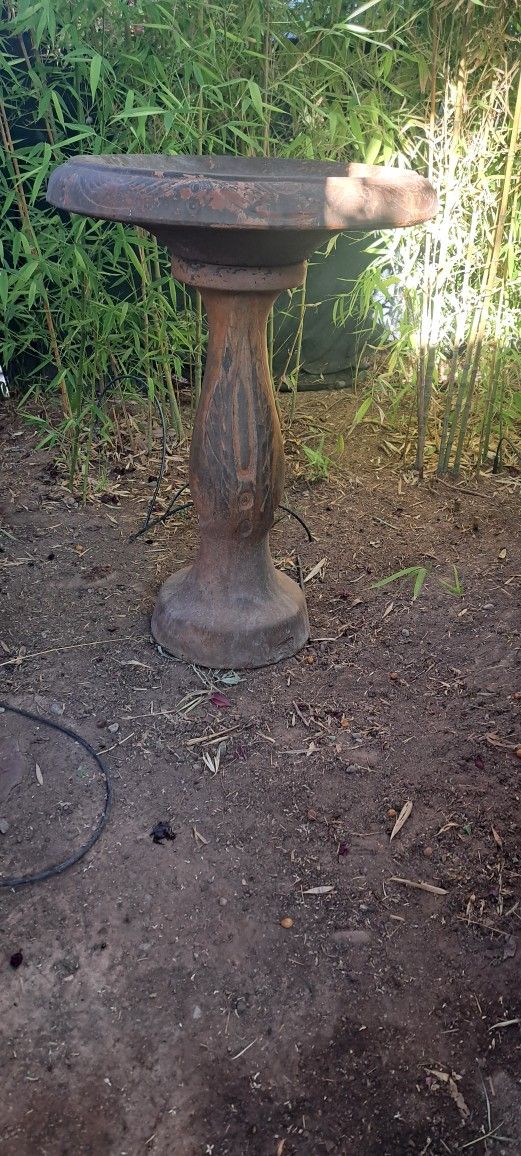 Bird Feeder