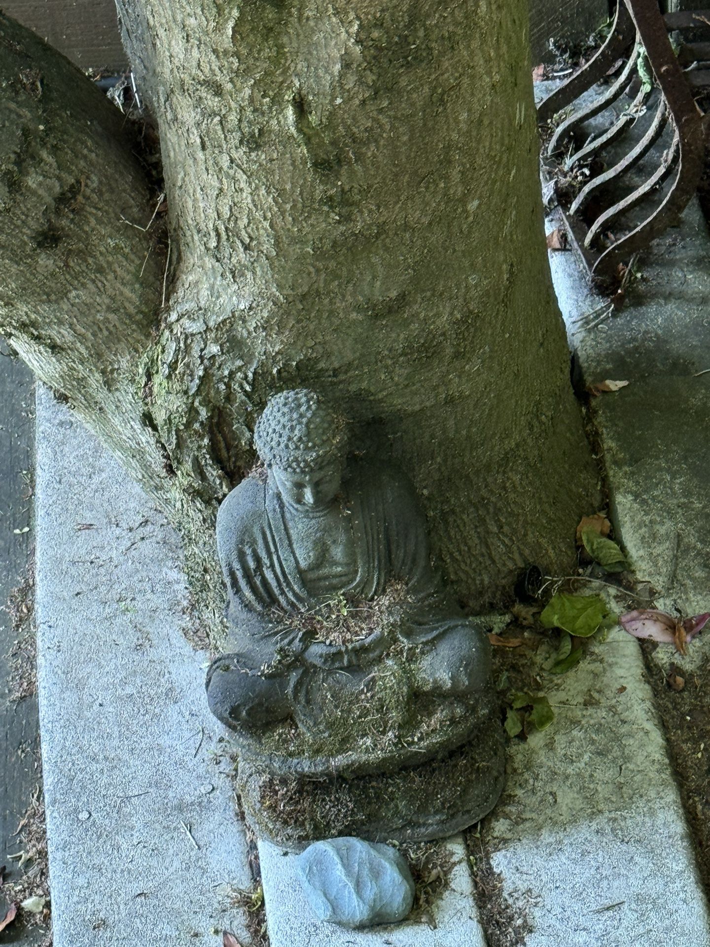 Buddha Statue Sitting