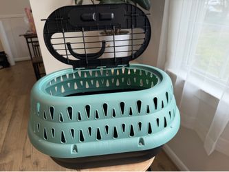 Kitten bucket