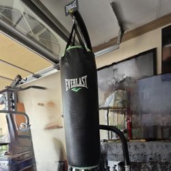 Everlast Dual 2 Station Punching Bag Stand