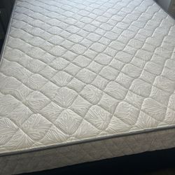 Queen Mattress and Box Spring 