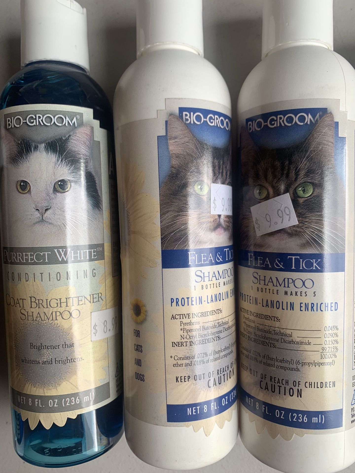 Flea & Tick Shampoo Cats
