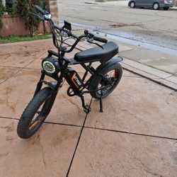 Electric Bike