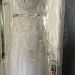 Jewel By David’s Bridal Size 10 Wedding Dress And Veil