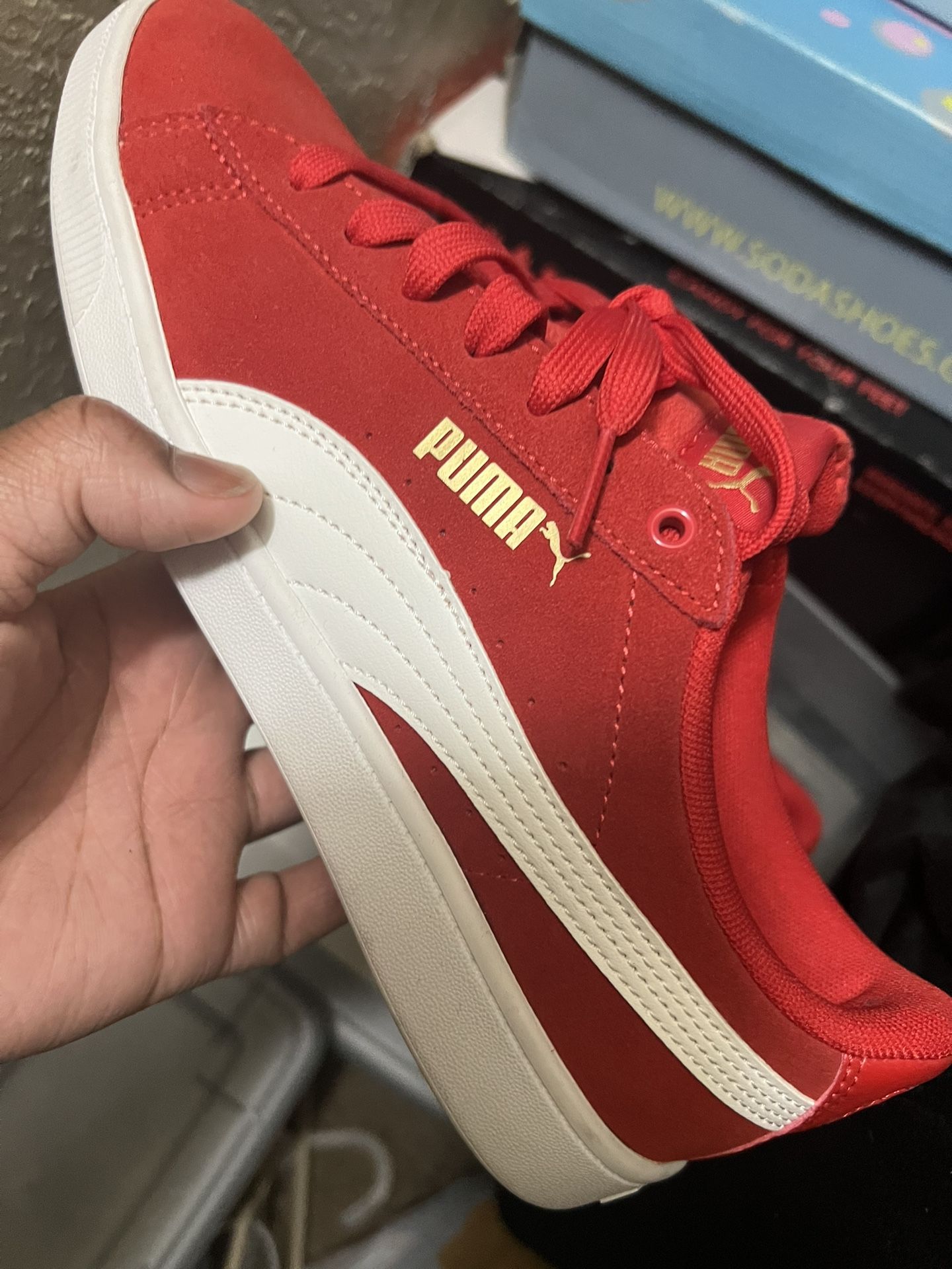 Pumas