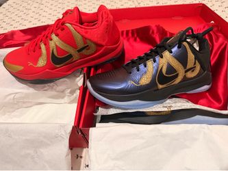 Kobe Year of the Mamba