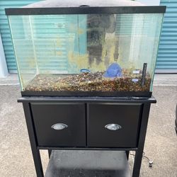 30 gallon aquarium with lid and stand
