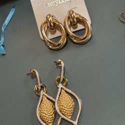2 Pairs Beautiful Earrings