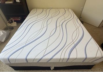 Queen Bed/Bed Frame