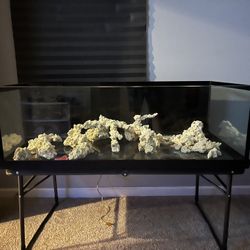 80 Gallon Rimless Seapora Aquarium/fish Tank.